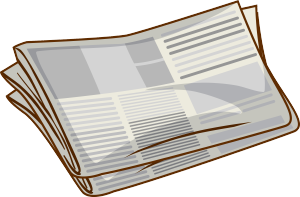 Newspaper